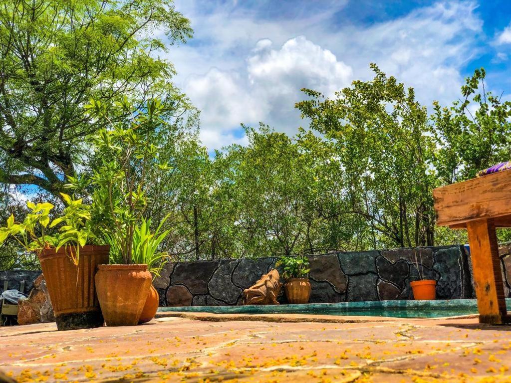 Lesoma Valley Lodge カサネ エクステリア 写真